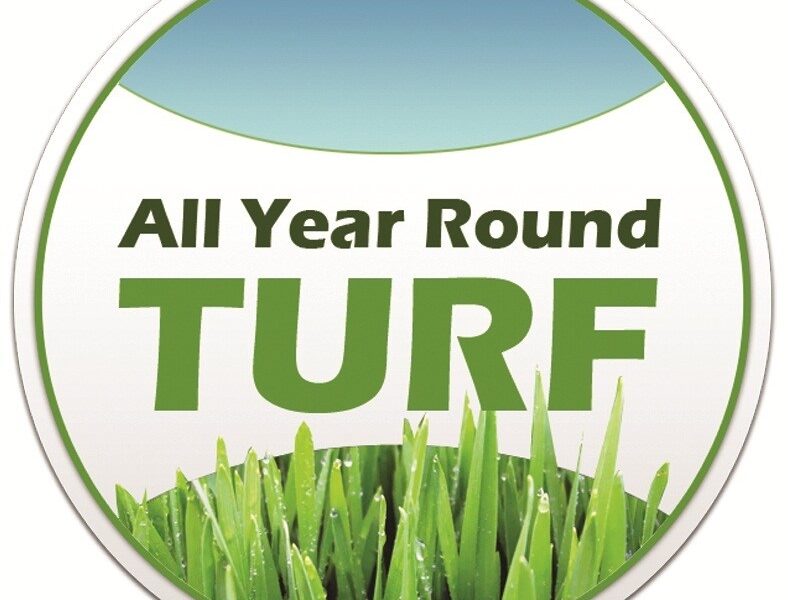 All Year Round Turf