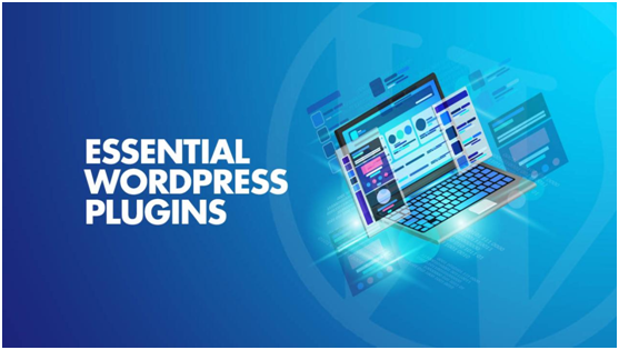 essential wordpress plugin