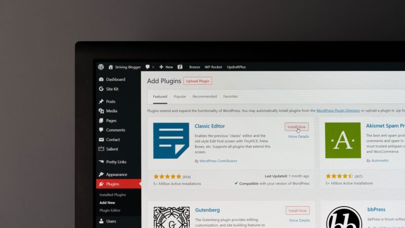 The Importance of the WordPress SEO Experts