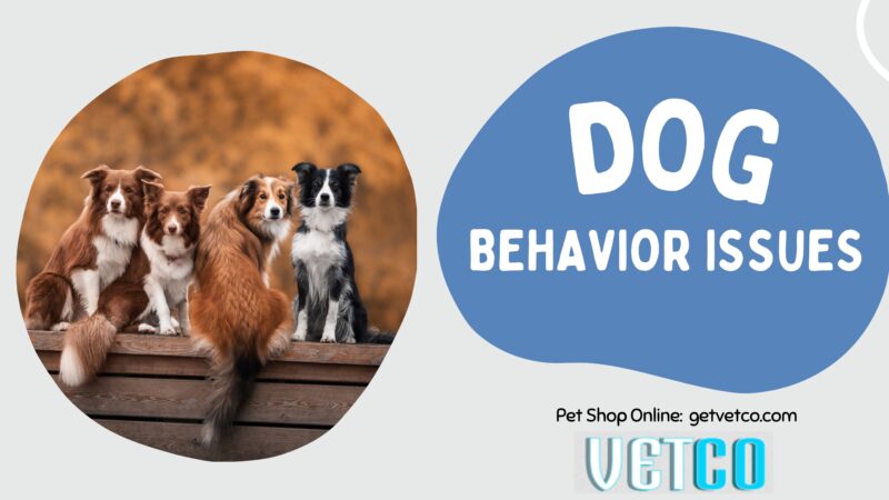 dog behavior issues